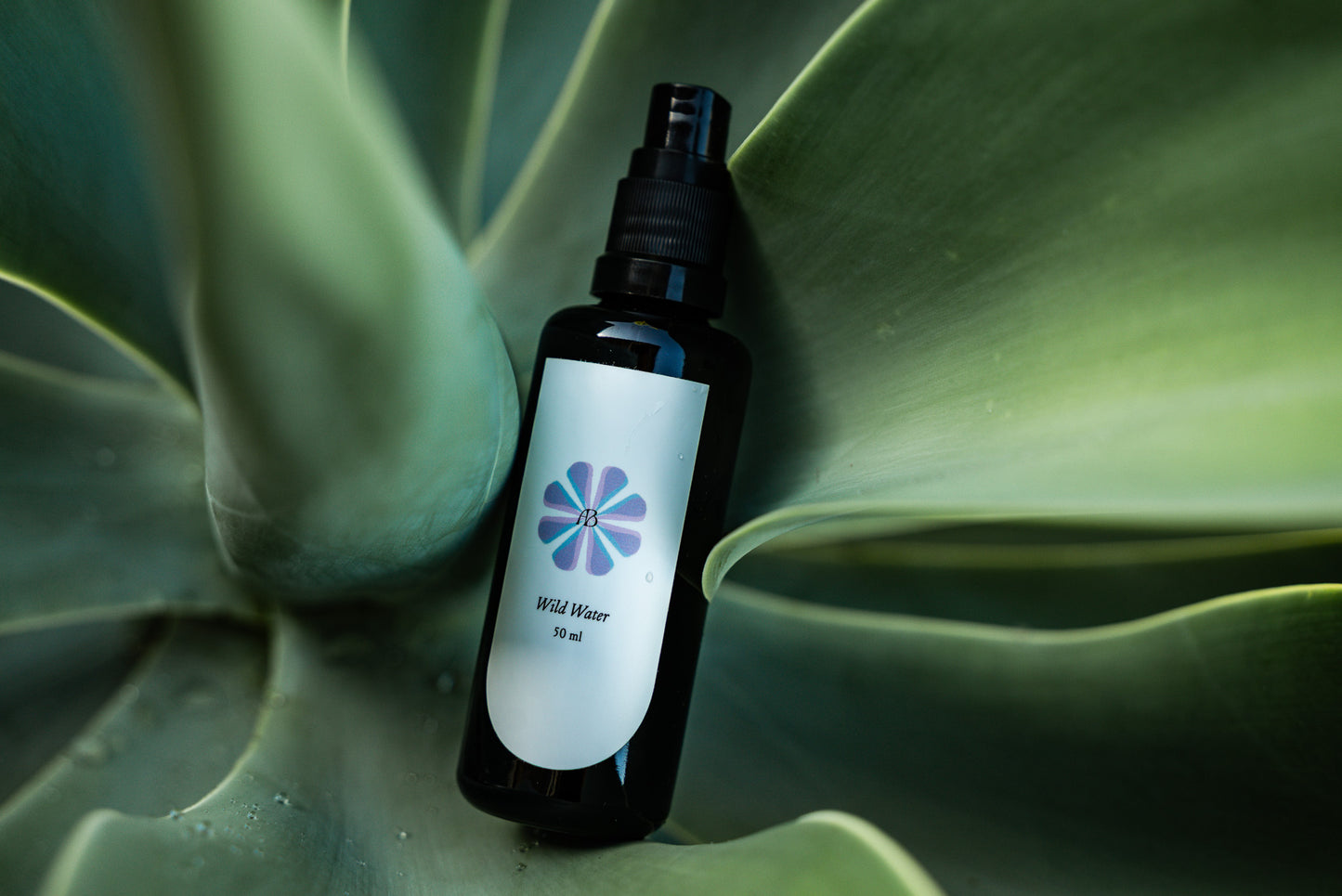 Wild Water: Eucalyptus + Cypress Hydrosol