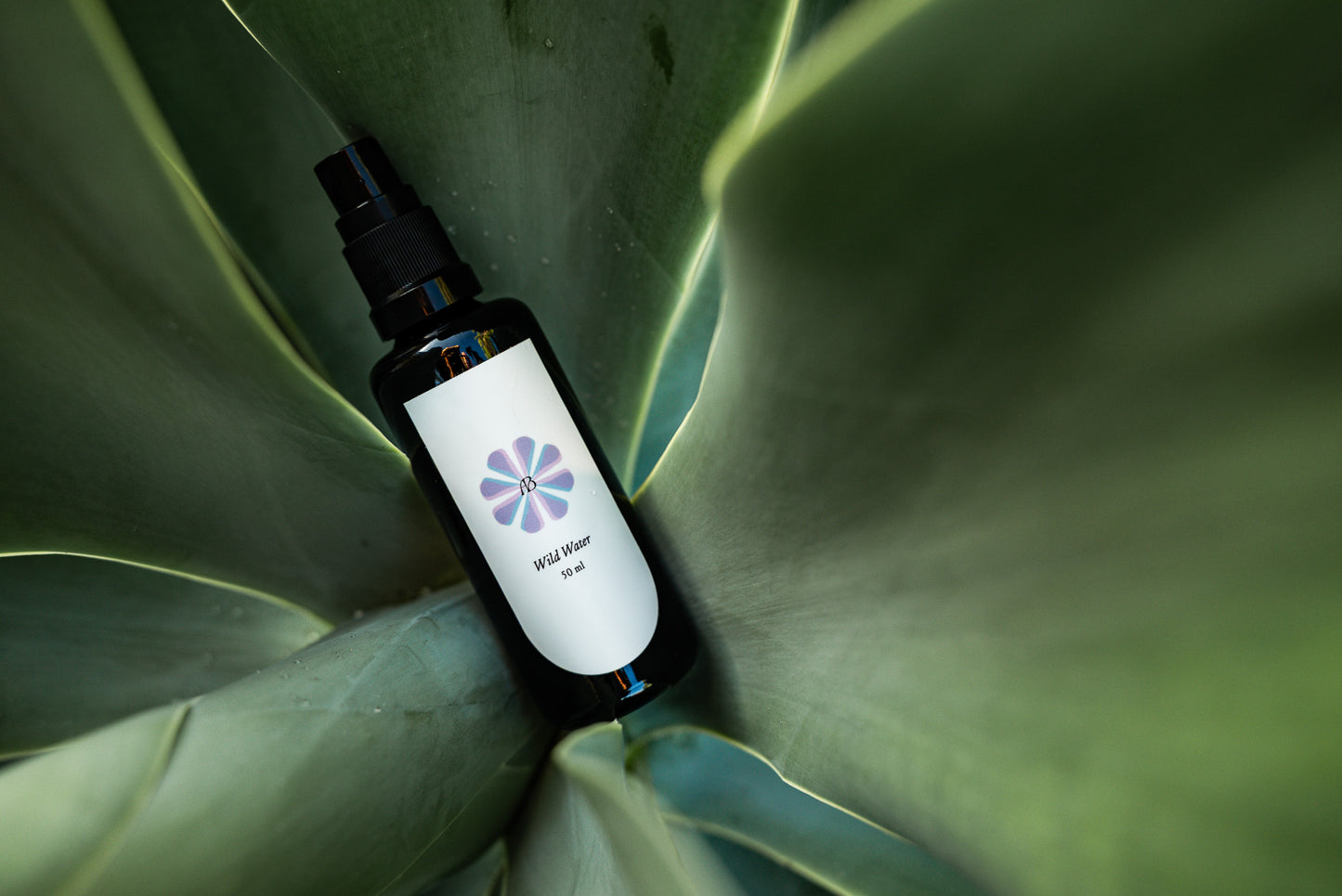 Wild Water: Eucalyptus + Cypress Hydrosol