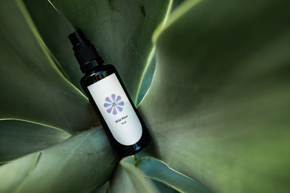 Wild Water: Eucalyptus + Cypress Hydrosol