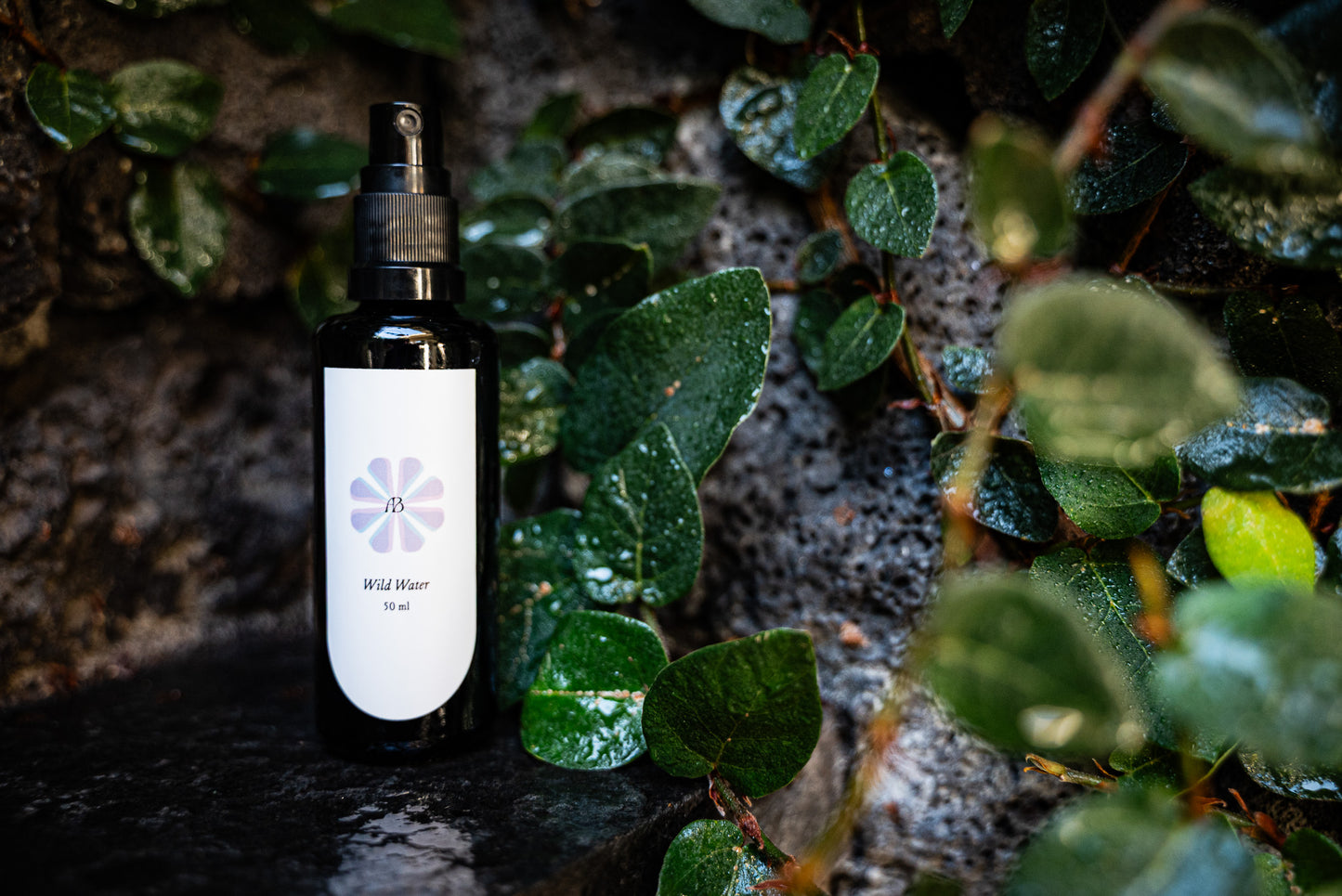 Wild Water: Eucalyptus + Cypress Hydrosol