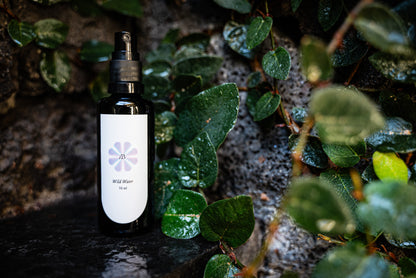 Wild Water: Eucalyptus + Cypress Hydrosol