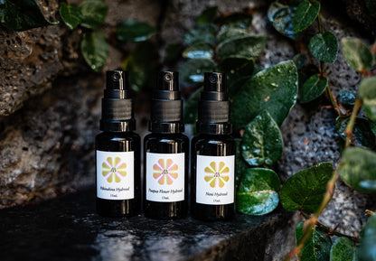 Island Discovery Set