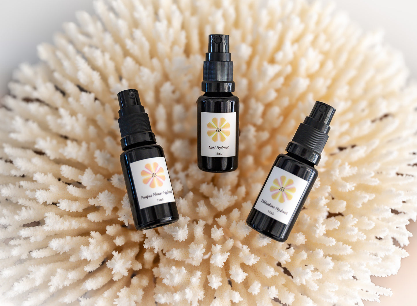 Island Discovery Set